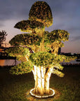 Durable Outdoor Spotlight for Garden Trees LED Lighting 1