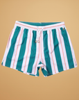 Fresh Mens Swim Trunks with Striped Design 1