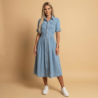 Delia | Women's Denim Dress