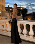 V-Neck Long Dress Backless Maxi Style Regular Fit Satin Evening Wear 2